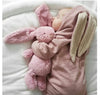 The Bunny Suite