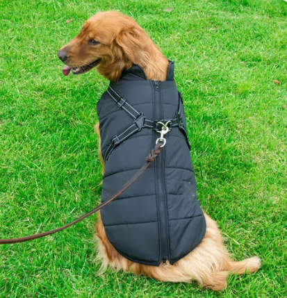 Davi - WinterVacht™ | 3-in-1 Hondenjas is ontworpen om jouw hond veilig en behaaglijk te houden