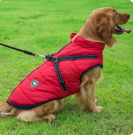 Davi - WinterVacht™ | 3-in-1 Hondenjas is ontworpen om jouw hond veilig en behaaglijk te houden