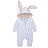 The Bunny Suite