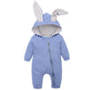 The Bunny Suite