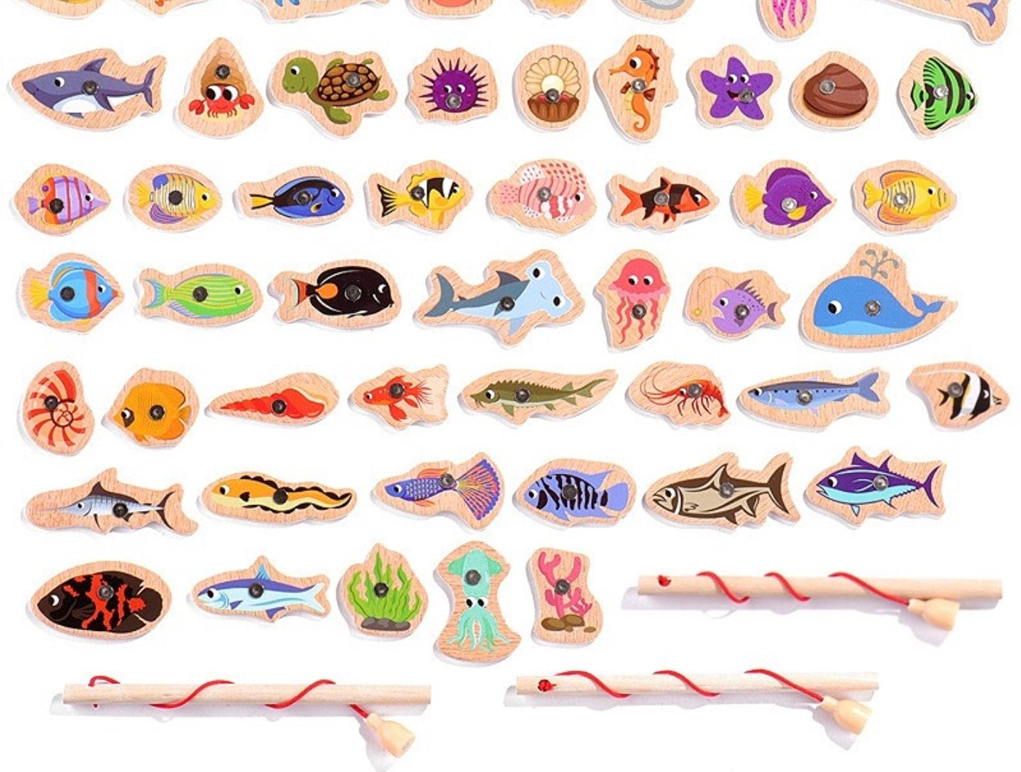 Montessori Vis Vang Spel