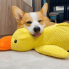 Ducky™ The doggy calmer | Verlicht stress en angst bij je hond direct en zorgt voor eindeloos plezier