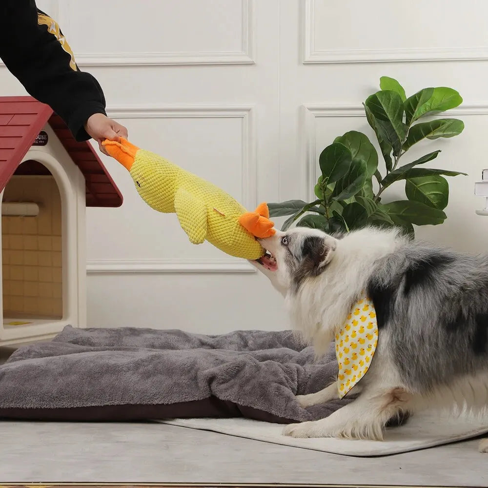 Ducky™ The doggy calmer | Verlicht stress en angst bij je hond direct en zorgt voor eindeloos plezier