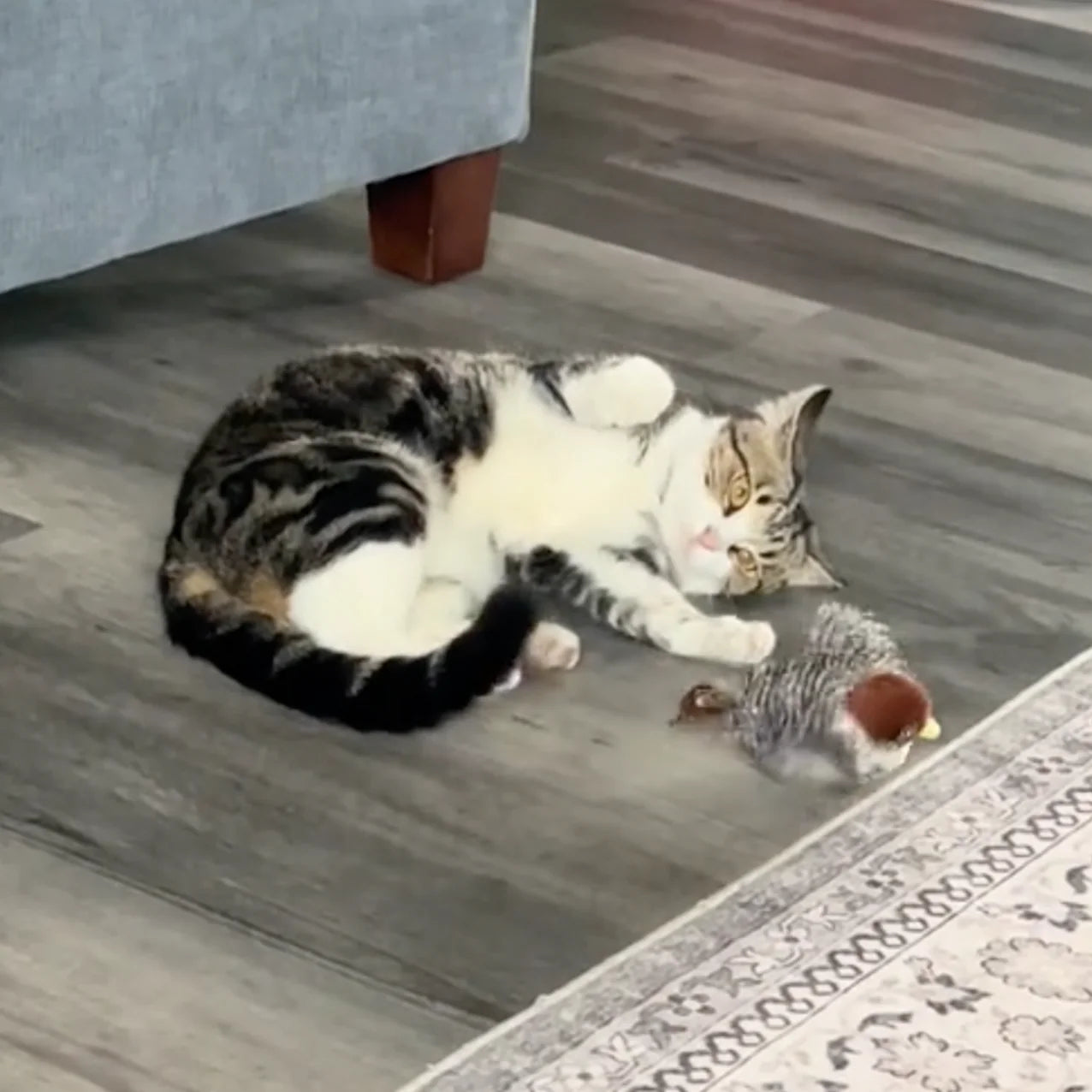 Tjilpie™- het slimme kattenspeeltje