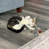 Tjilpie™- het slimme kattenspeeltje