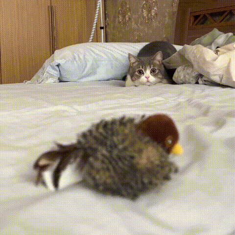 Tjilpie™- het slimme kattenspeeltje