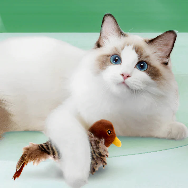 Tjilpie™- het slimme kattenspeeltje